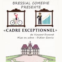 Cadre exceptionnel de Vincent Durand par Bressial Comédie. Le samedi 6 avril 2019 à MONTAUBAN. Tarn-et-Garonne.  21H00